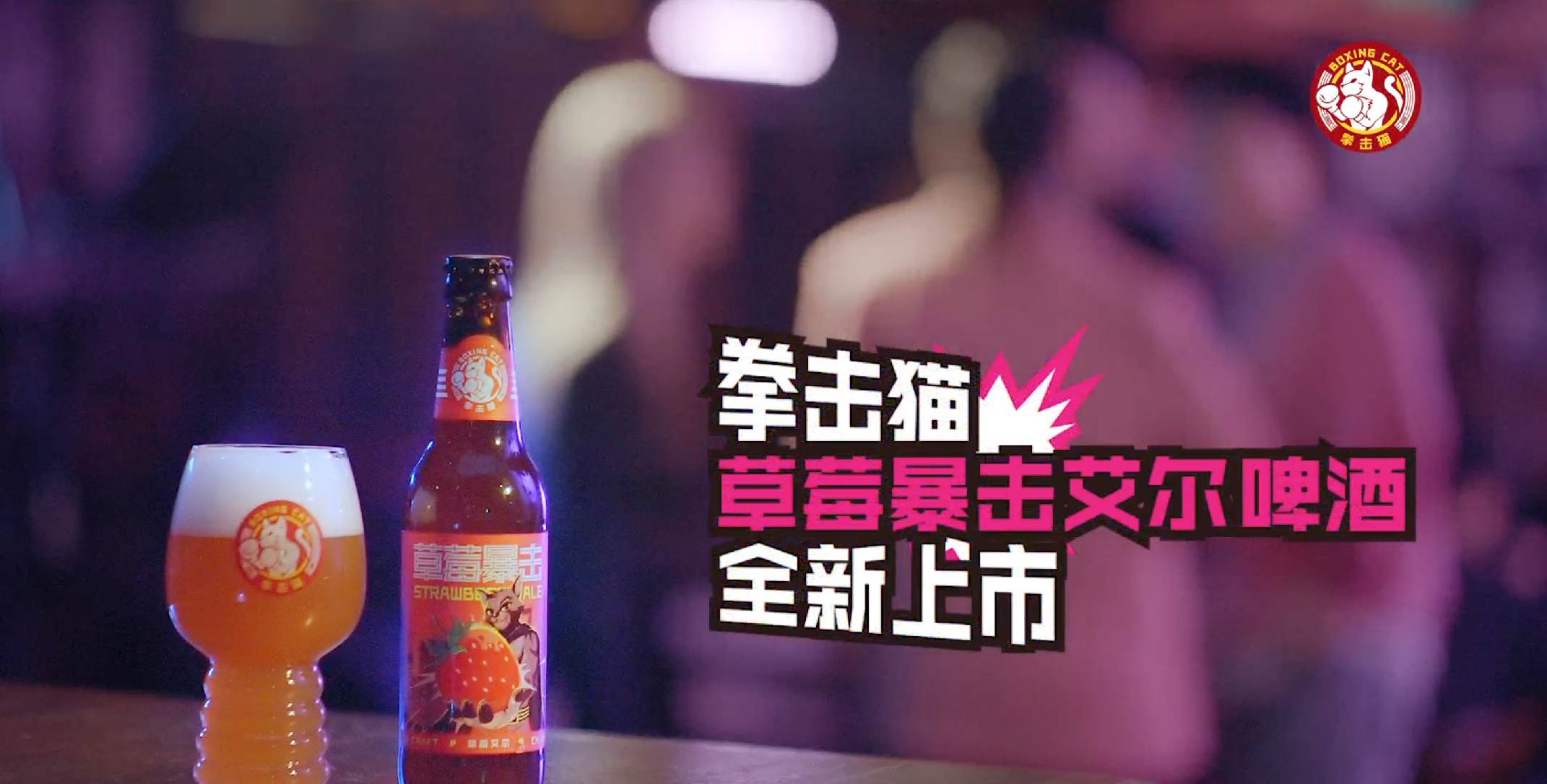 百威 拳击猫 广告画面